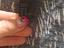 Immagine 4