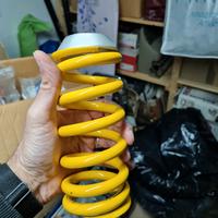 molla originale monster1200 2015