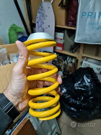 molla originale monster1200 2015