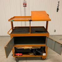 Carretto officina per diagnosi o stati d’uso