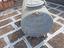 Immagine 5