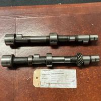 Alberi a Cammes Lancia