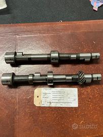 Alberi a Cammes Lancia