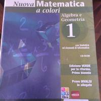 Libro di matematica classe 1- istituto tecnico -