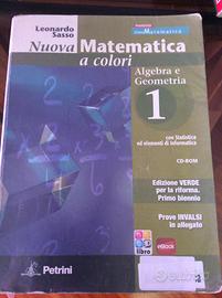 Libro di matematica classe 1- istituto tecnico -