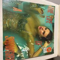 The Life Of A Showgirl - Taylor Swift