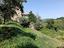 Immagine 9