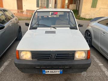 fiat panda young 