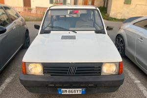 fiat panda young 