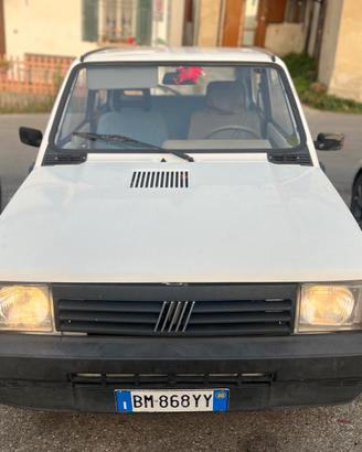 fiat panda young 