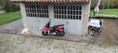 Peogeut 50 jet force c-tech