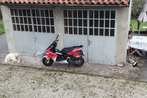 Peogeut 50 jet force c-tech