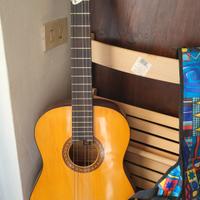 Chitarra Classica DMC Mod Squirrel E-50