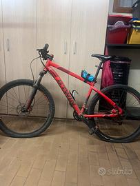 bicicletta mountain bike