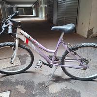 mountain bike 24