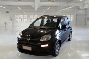FIAT PANDA 1.0 HYBRID MY23