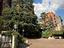 Immagine 25