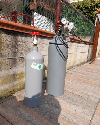 Impianto CO2 per acquario