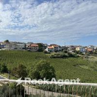 STABILE COMMERCIALE CON PIAZZALE E APPARTA