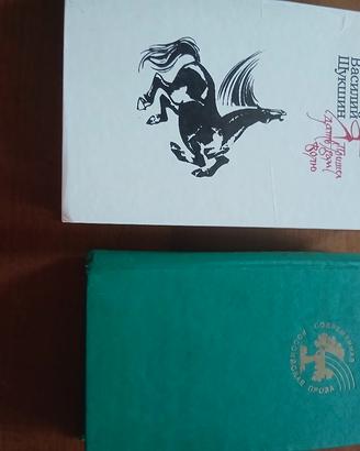 libri lingua russa