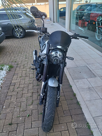Benelli leoncino 500