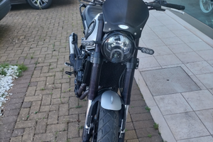 Benelli leoncino 500