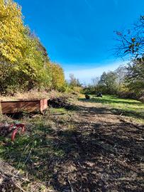 legna grezza di bosco da ardere gratis