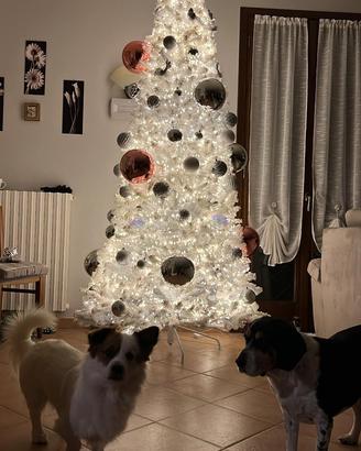 Albero di natale