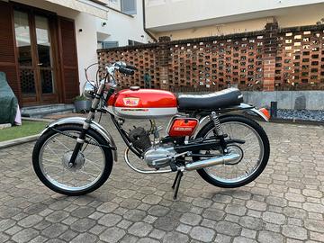Corsarino 50