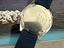Immagine 6