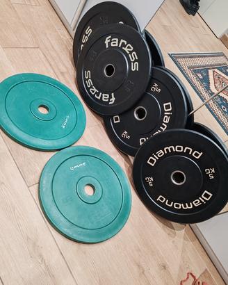dischi bumper palestra 