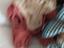 Immagine 5