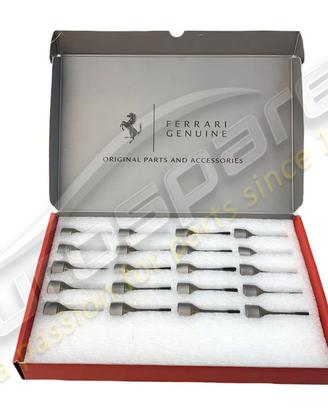 set di bulloni in titanio ferrari 