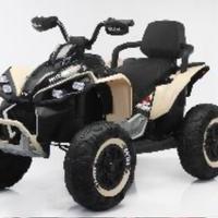 Quod elettrico 24 vl