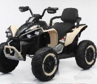 Quod elettrico 24 vl