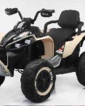 Quod elettrico 24 vl