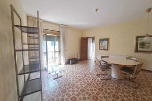 Semindipendente a Amelia