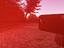 Immagine 19