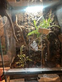 Terrario bioattivo