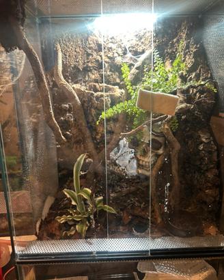 Terrario bioattivo