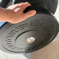 Bumper regolamentari da 20kgx2 Lacertosus