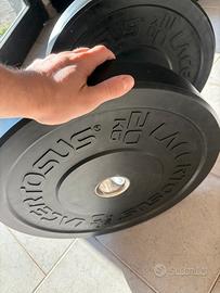 Bumper regolamentari da 20kgx2 Lacertosus