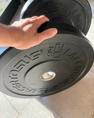 Bumper regolamentari da 20kgx2 Lacertosus