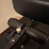 SISSY SQUAT LACERTOSUS