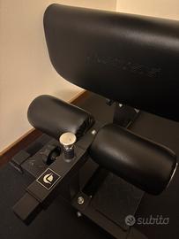 SISSY SQUAT LACERTOSUS