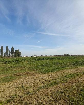 Terreno di 27500 m² a Campodoro