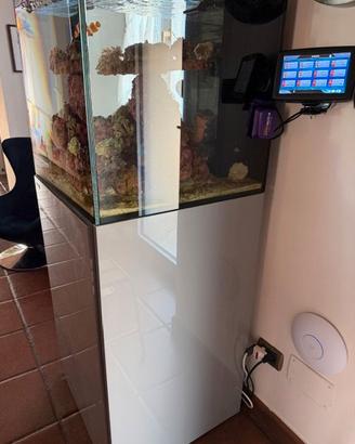 ACQUARIO AF OCEANGUARD 275 AQUAFOREST