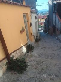 Appartamento ammobiliato