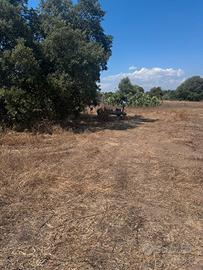 Terreno con parte edificabile, Matzaccara