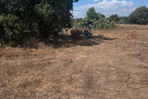 Terreno con parte edificabile, Matzaccara